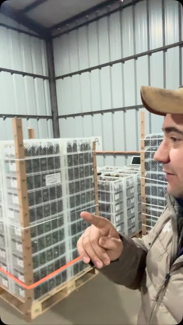 El equipo y la operación de Punto Palta